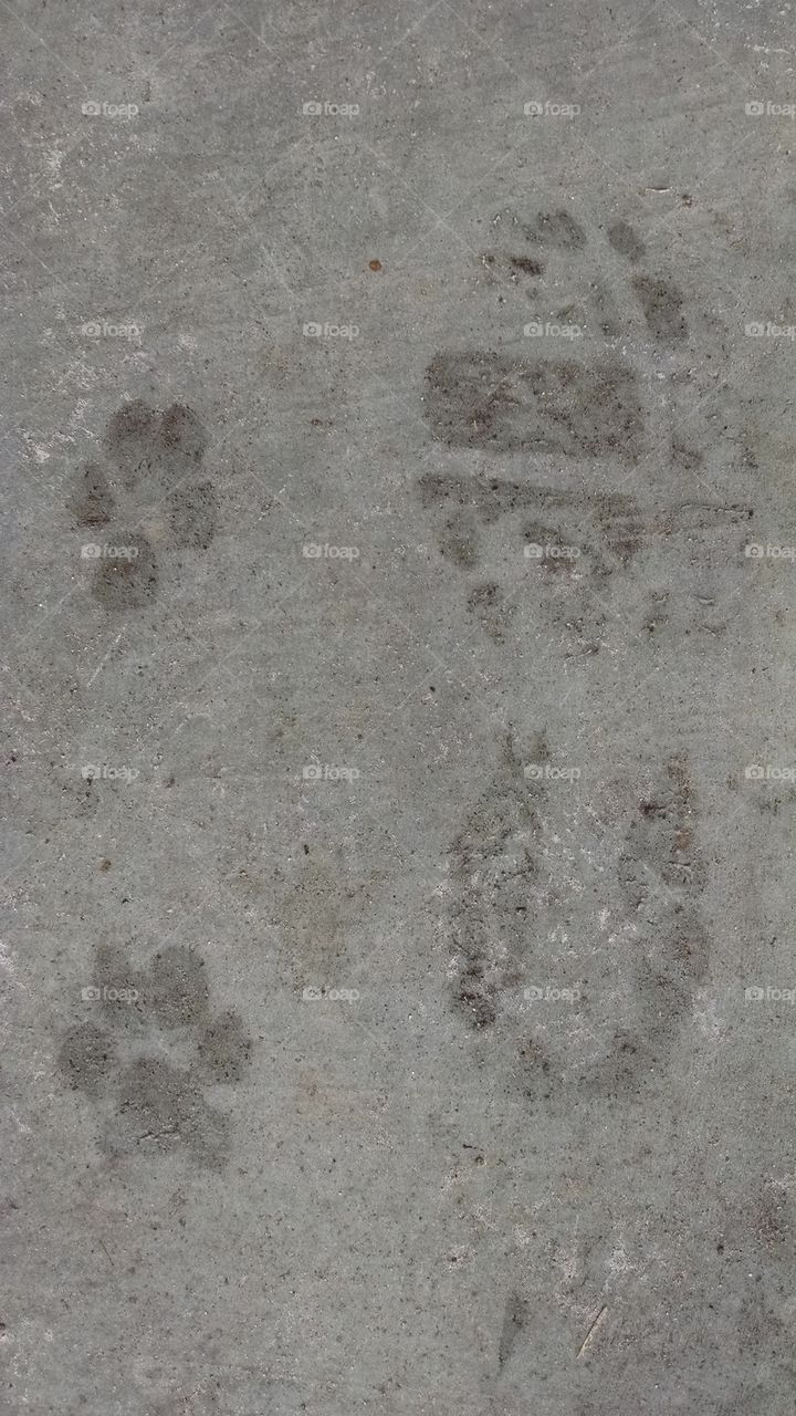 Best friends' footprints