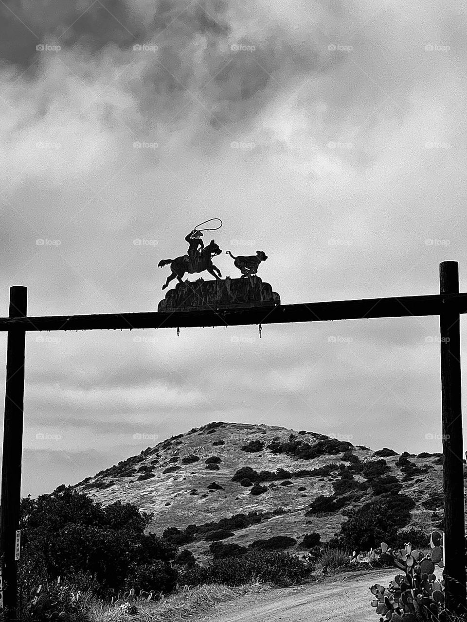 Roping Cowboy Entrance
