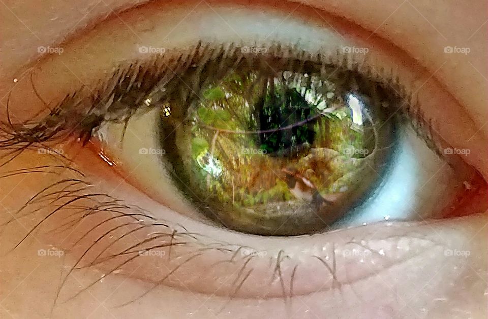 Macro shot of eye