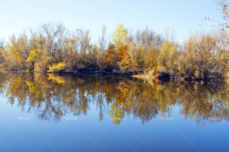 Deciduous forest reflected over a lake