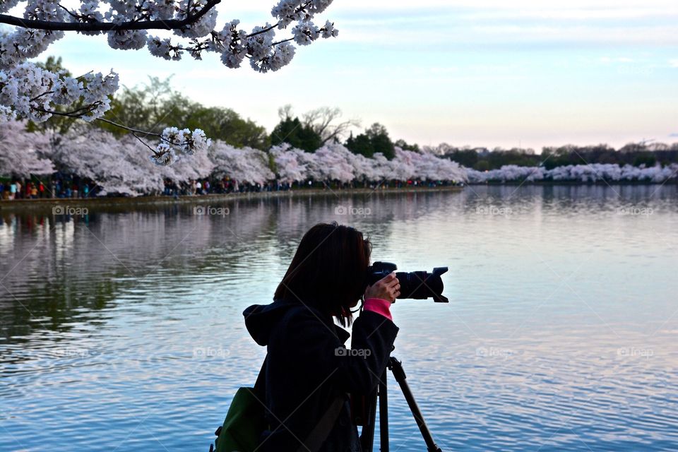 Photographer at work