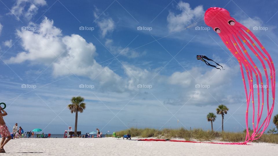 Howard Beach Kites 2. Howard Beach. Tarpon Springs.