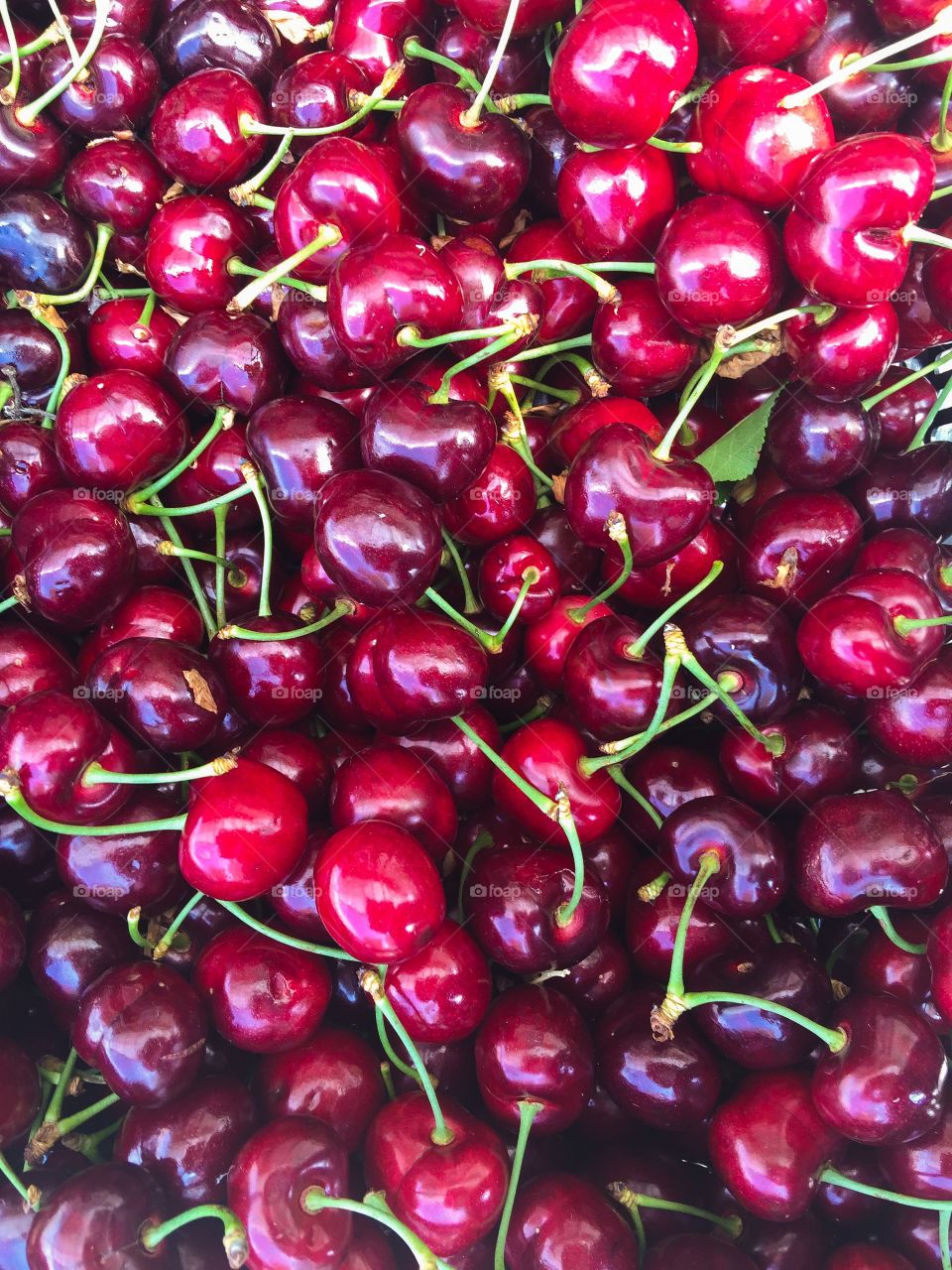 Red ripe cherries