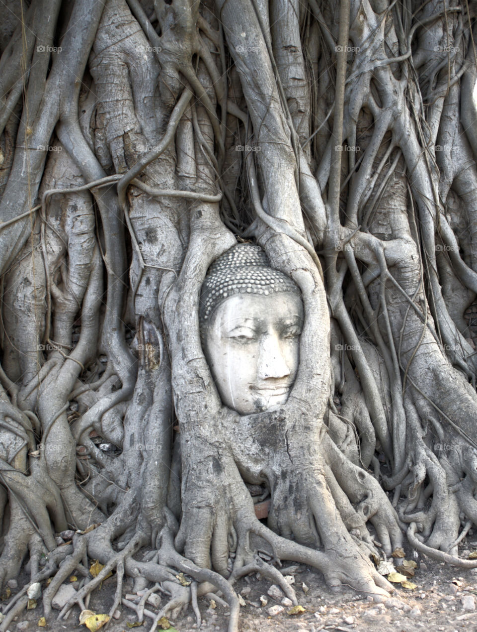 Ancient Buddha of Wat Mahathat Ayutthaya