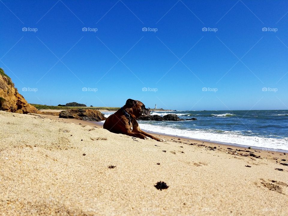 Thor,  coastal relaxation!