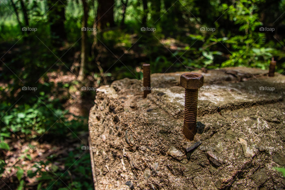 rusted bolt and nut in the woods