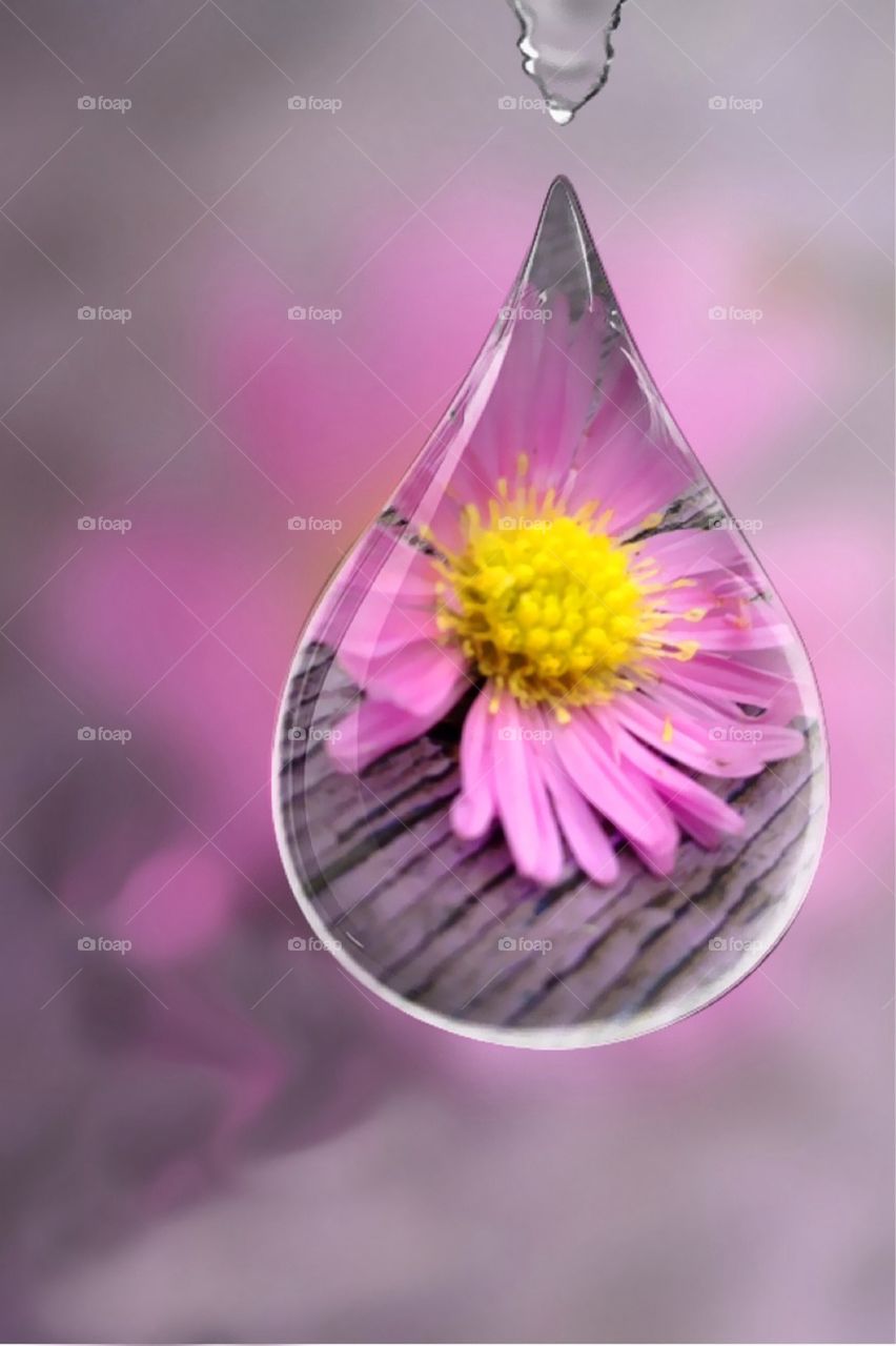 drop flower