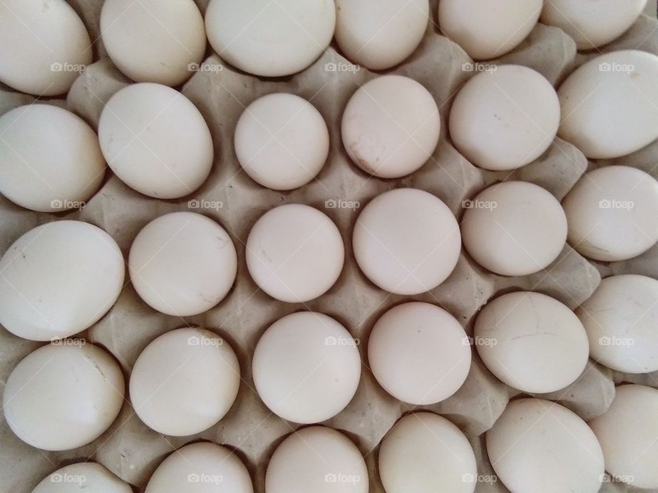 egg tray