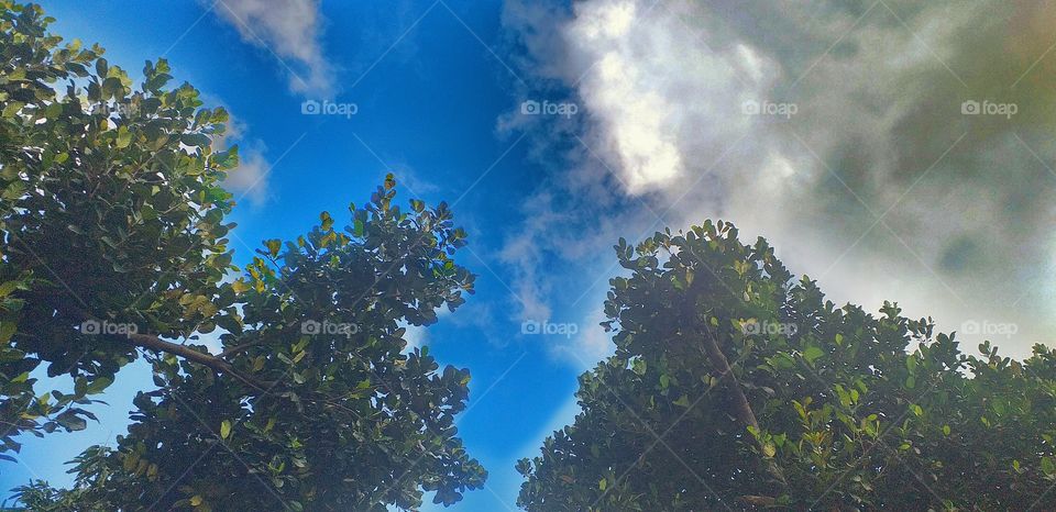 amazing view of sky in afternoon