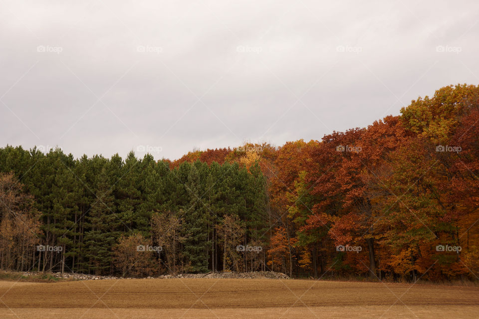 Fall Colors in Wisconsin