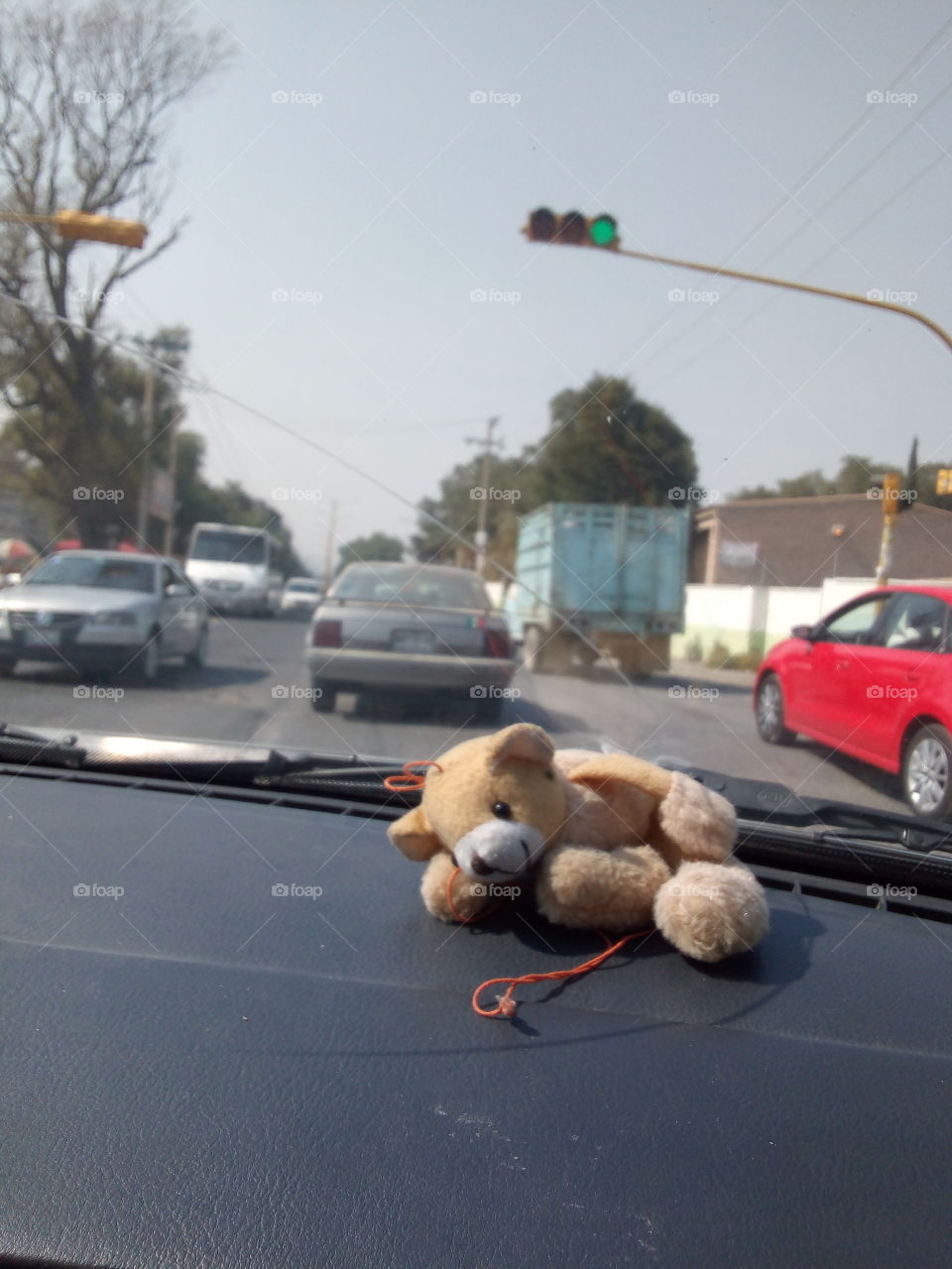 Foto tomando a un oso de peluche con el fondo de otros autos en avenida