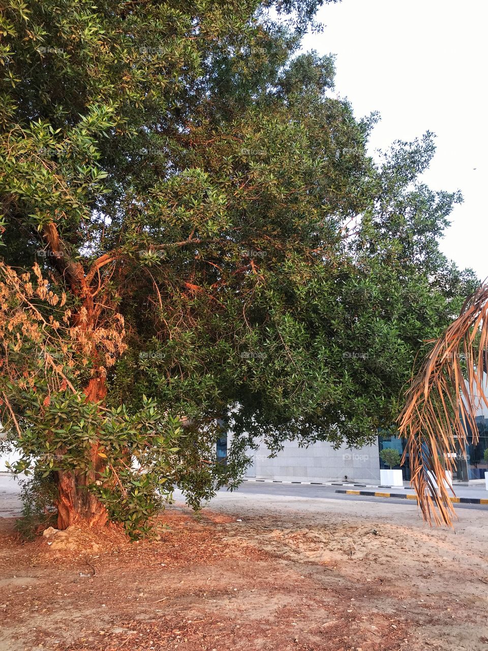 Autumn 2017 Early morning working day