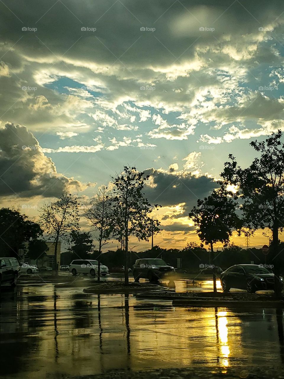 Commute at sunset after a storm