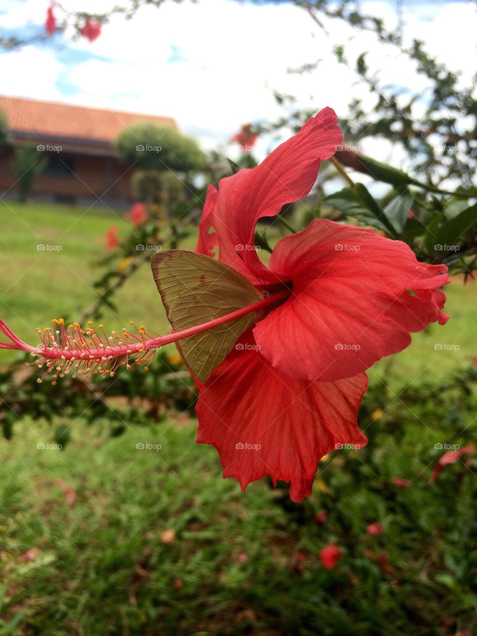 Butterfly . Amazing moment. 