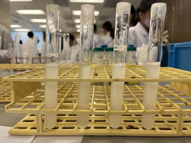 Laboratory 