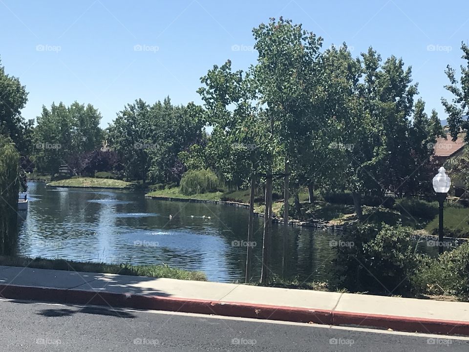 Local neighborhood pond