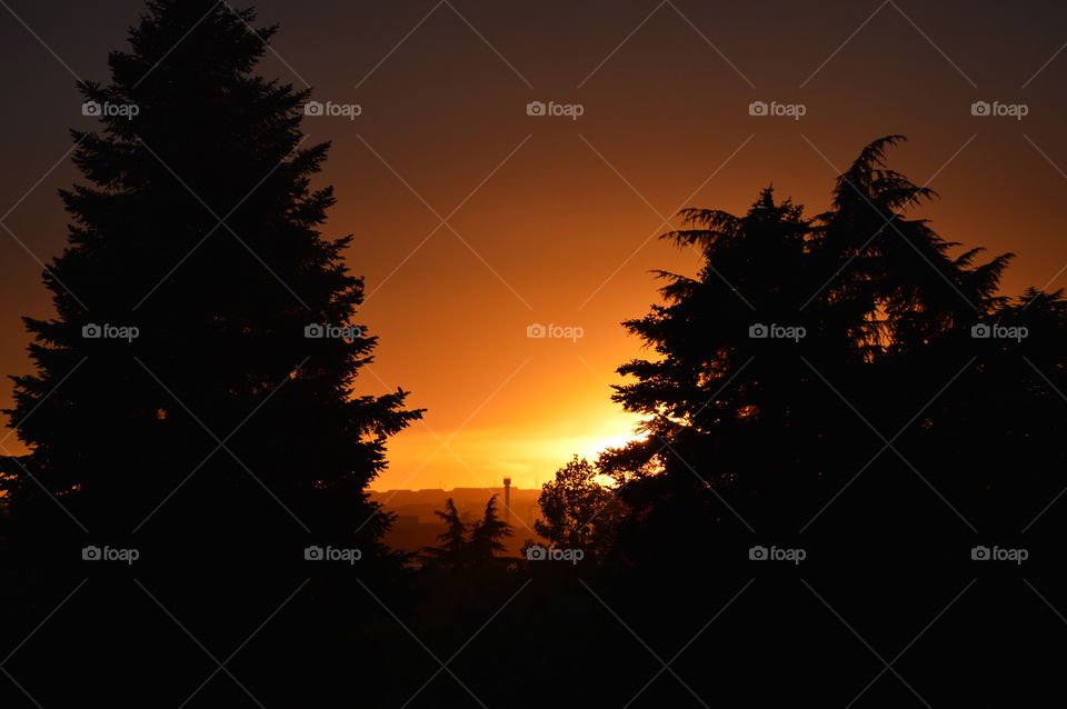 Ocaso - Sunset