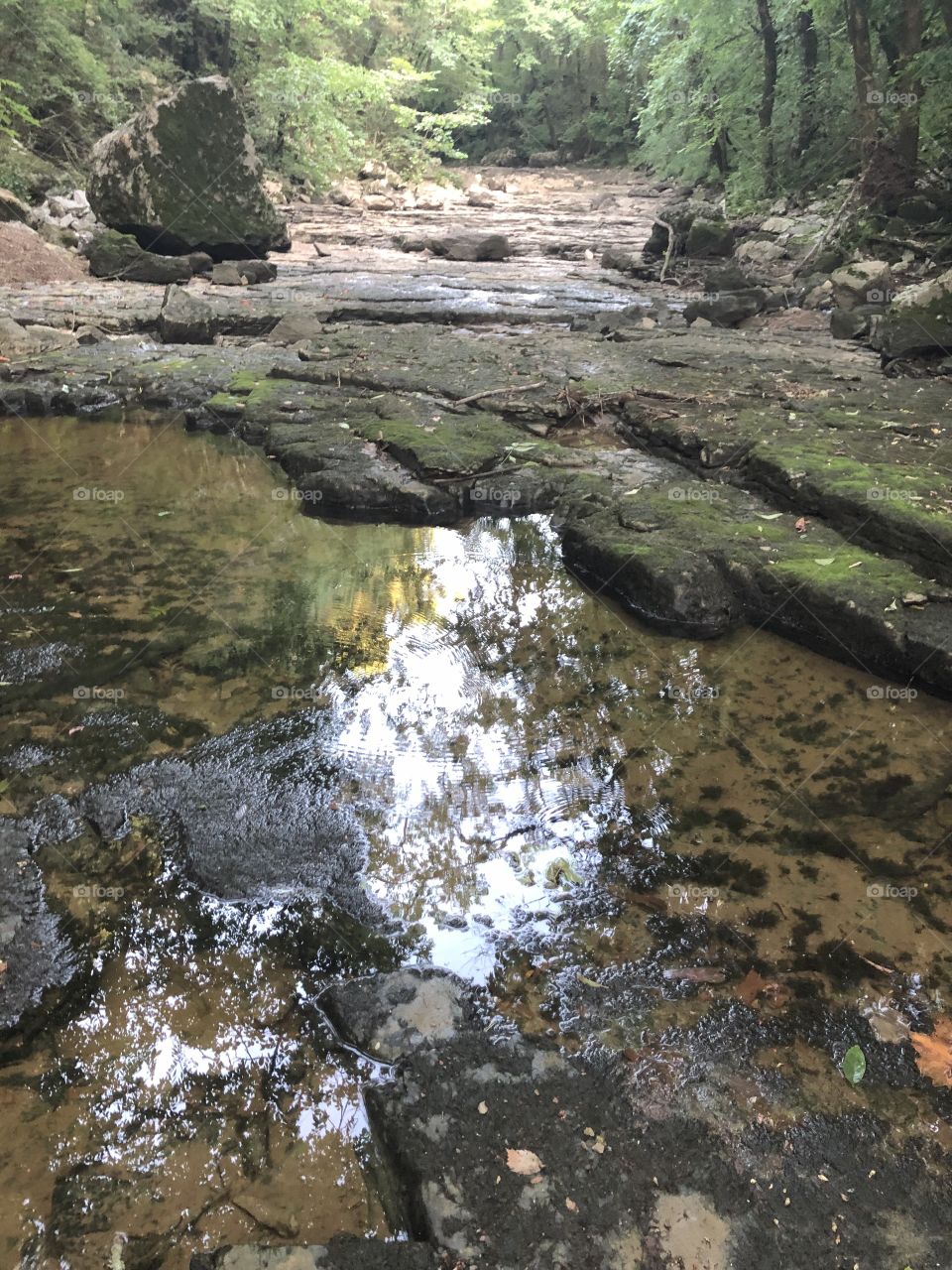 Reflection in the water 