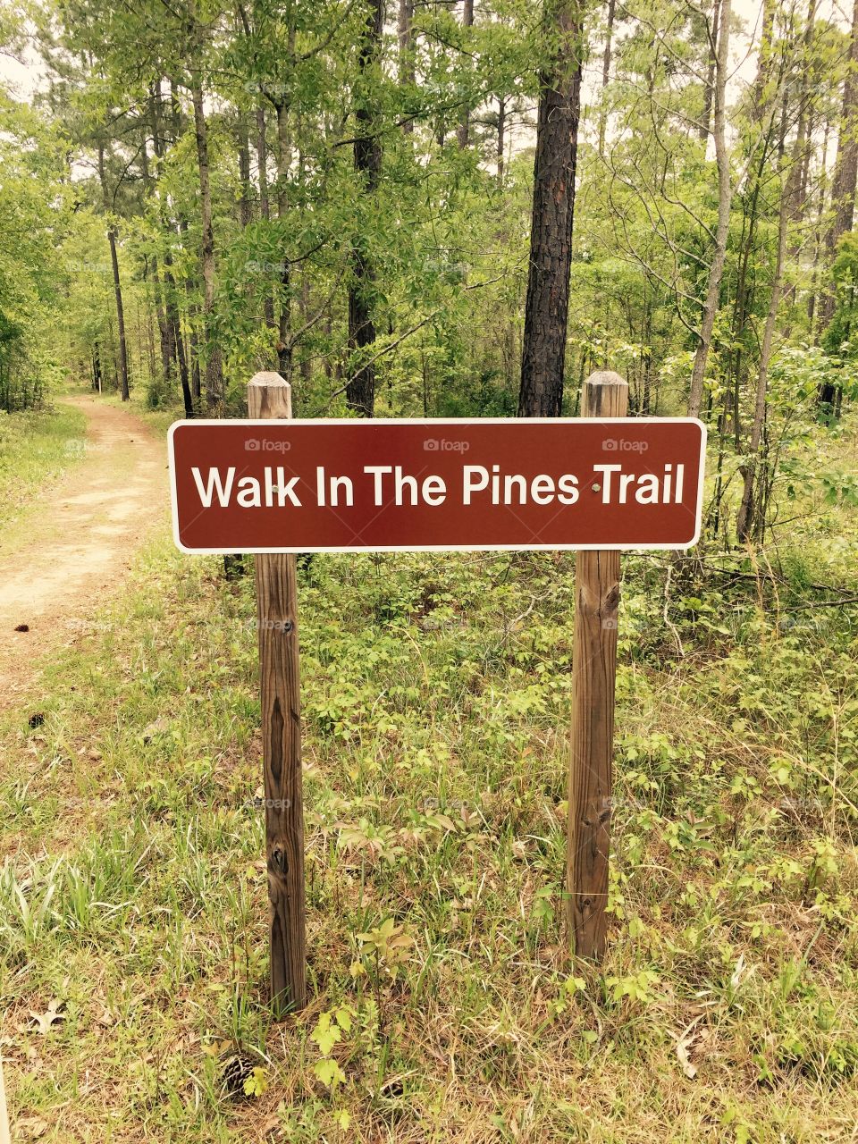 Sign in the woods near campsite in Georgia on a walking trail.