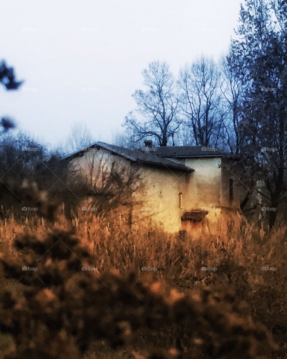 horror house 