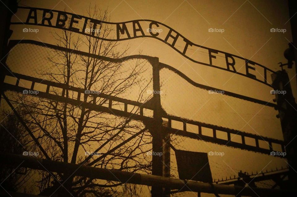 Holocaust, Auschwitz - Poland