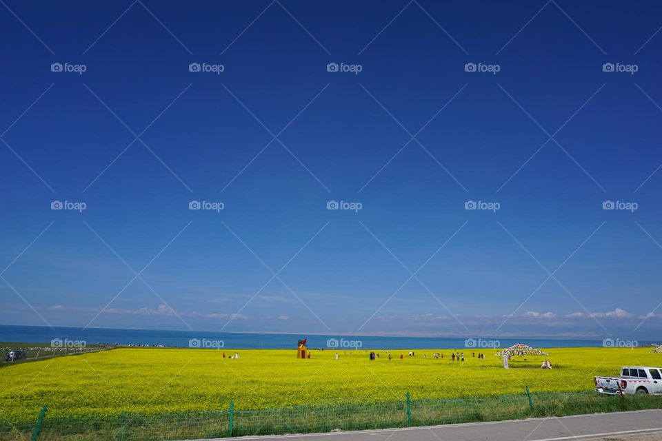 qinghai  lake