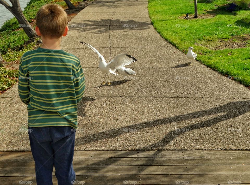 Boy Feeding Birds