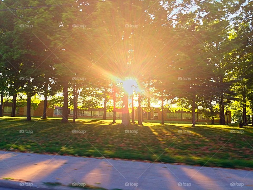 Sun peaking through the trees