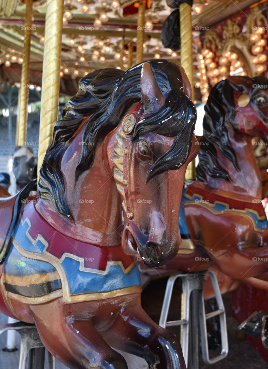 Carousel horses