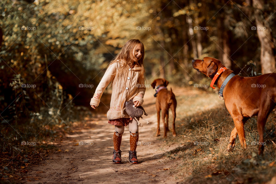 Little girl playing with dogs in an autumn park