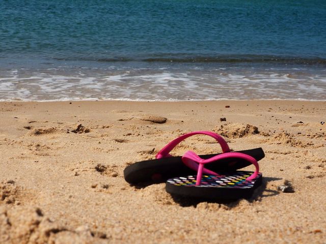 Flippers on the beach