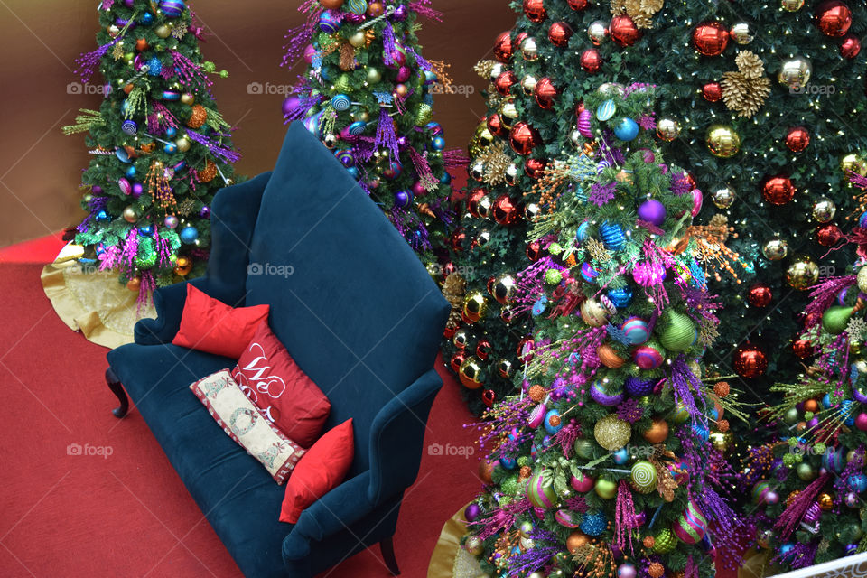 Christmas, Winter, Decoration, Christmas Tree, Tree