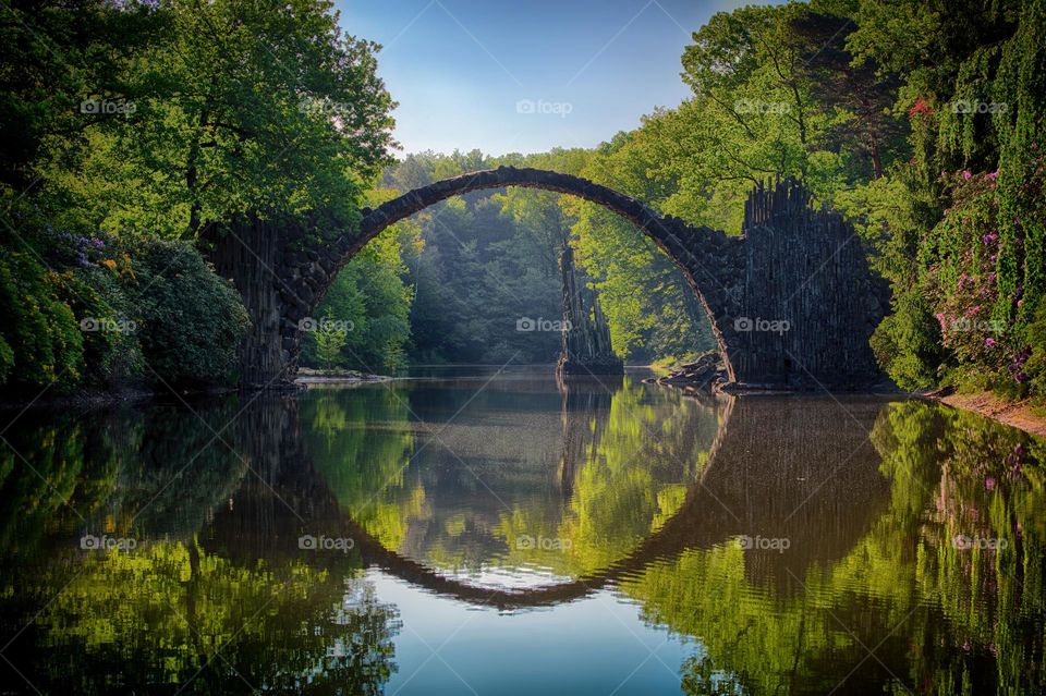 Grey bridge and water trees