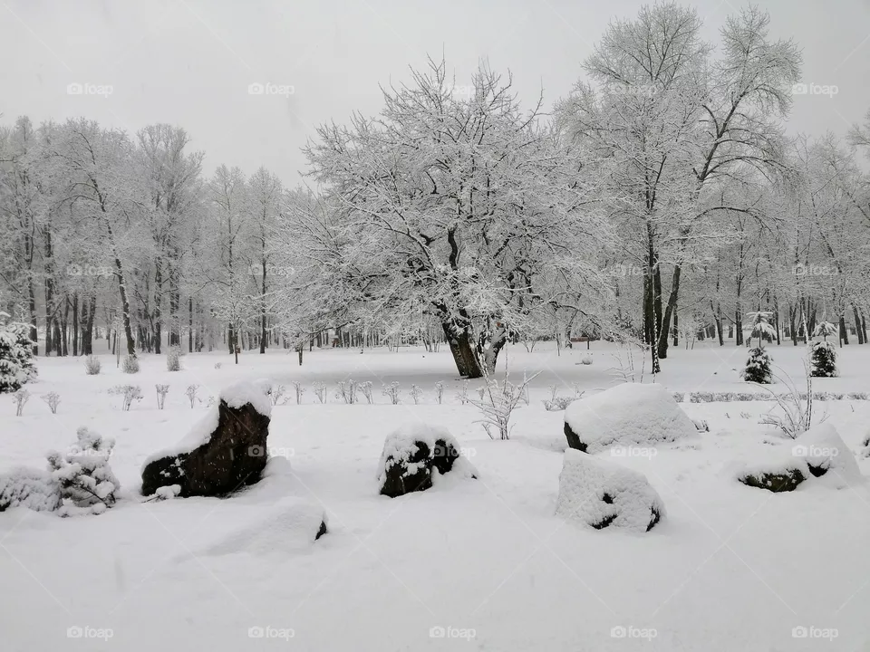 Snow park