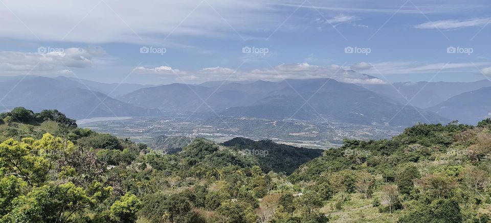 Looking at the Flower Valley