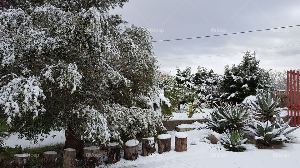 snow in puglia