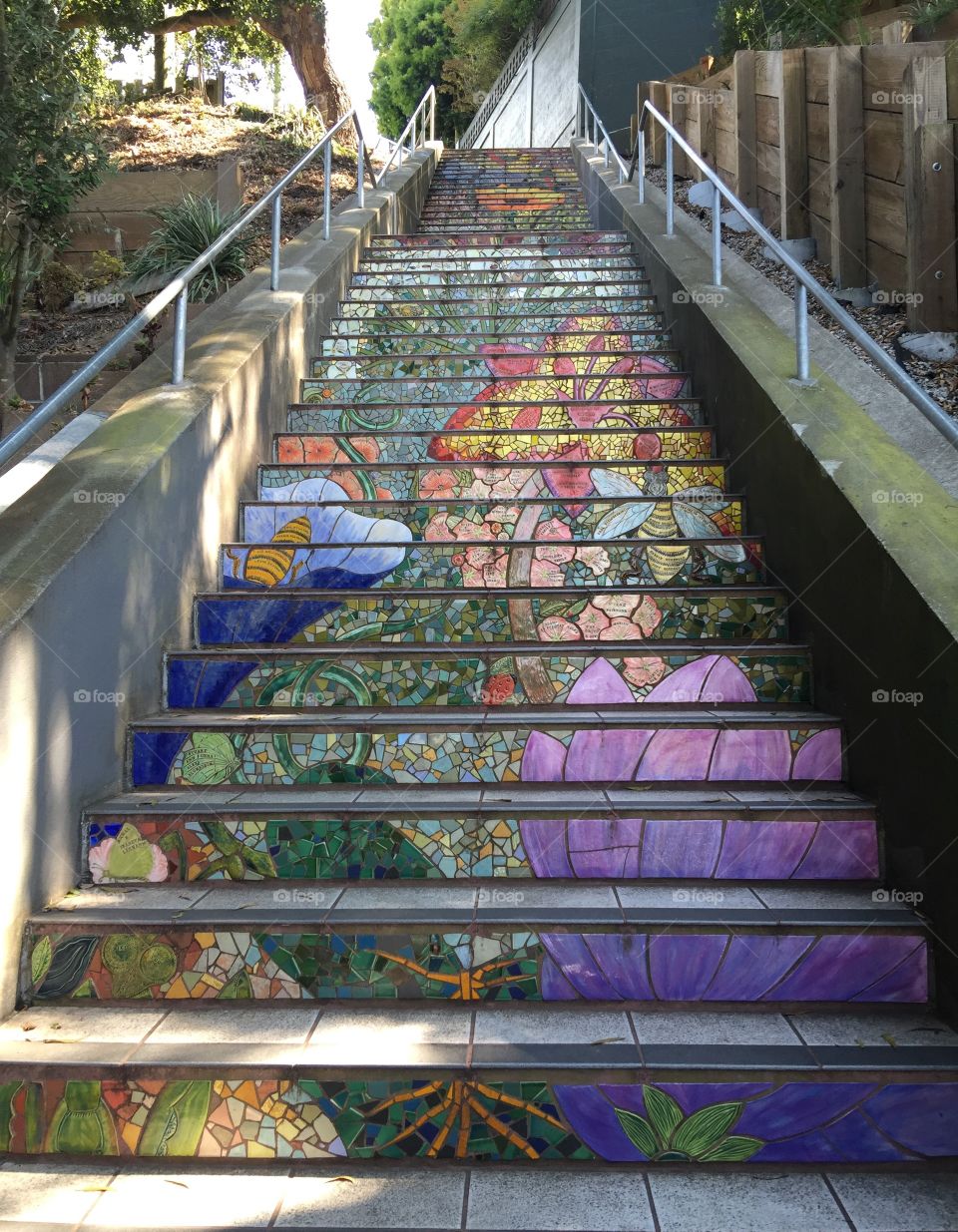 16th avenue and moraga mosaic tile
San Francisco, California 
