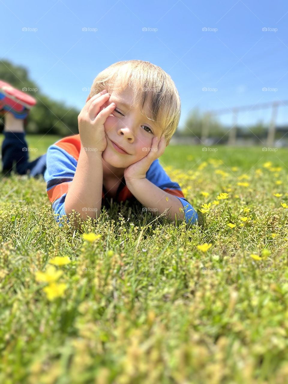 Love and aping in the air! 