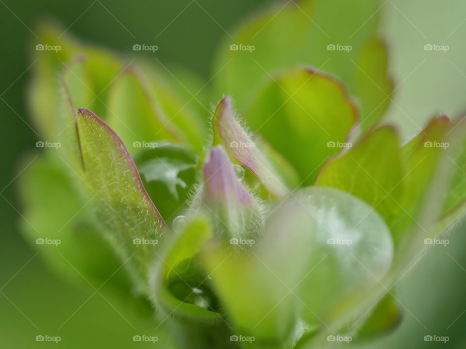 Close up of raindrop