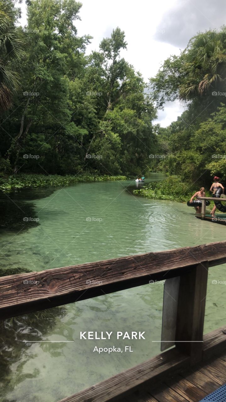 Kelly park rock spring a natural lazy river that stays moving constantly springs water .72 degrees all year round clear as bottle water