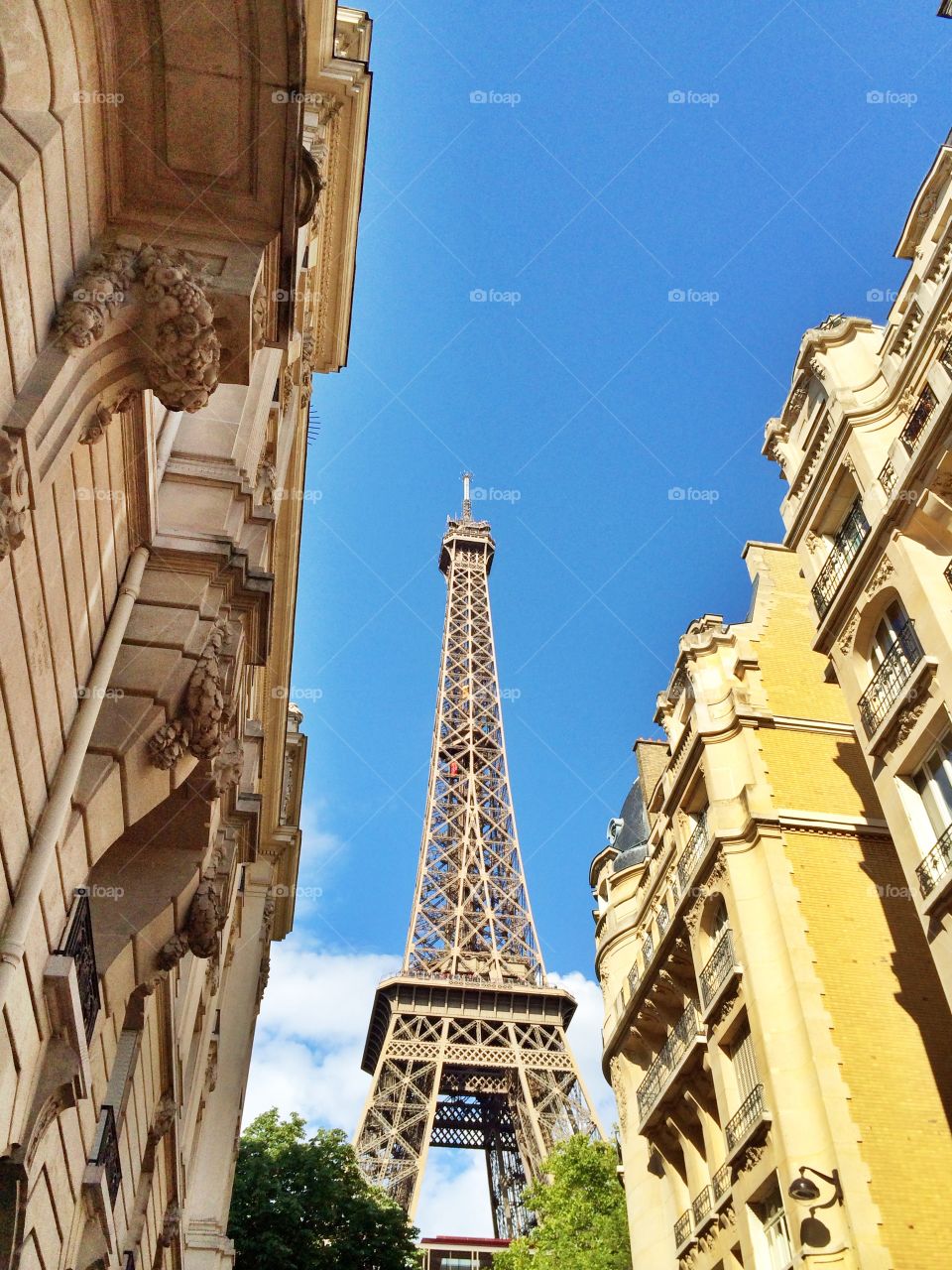 Eiffel Tower in Paris. Eiffel Tower in Paris