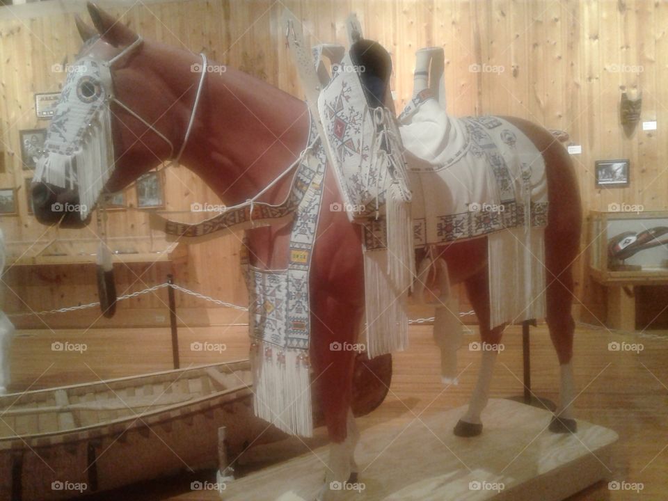 Native American horse regalia