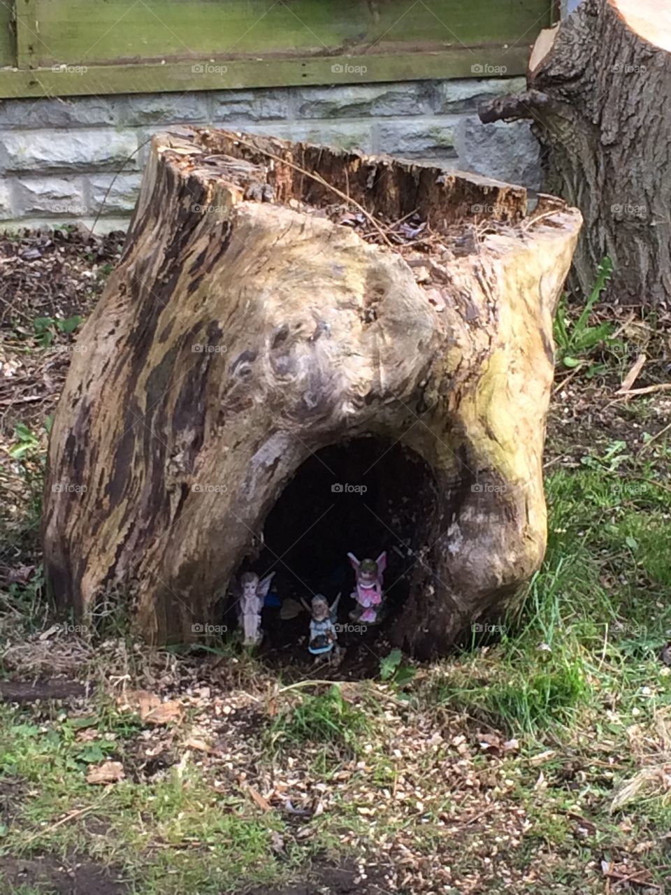 Fairy house