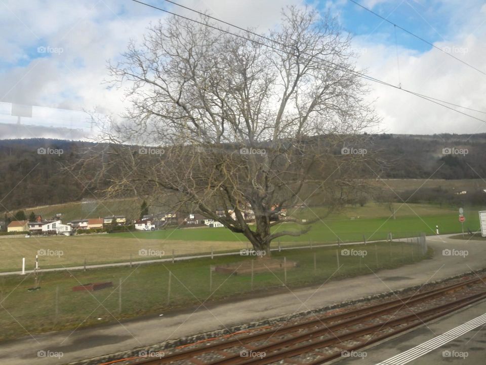 Train View