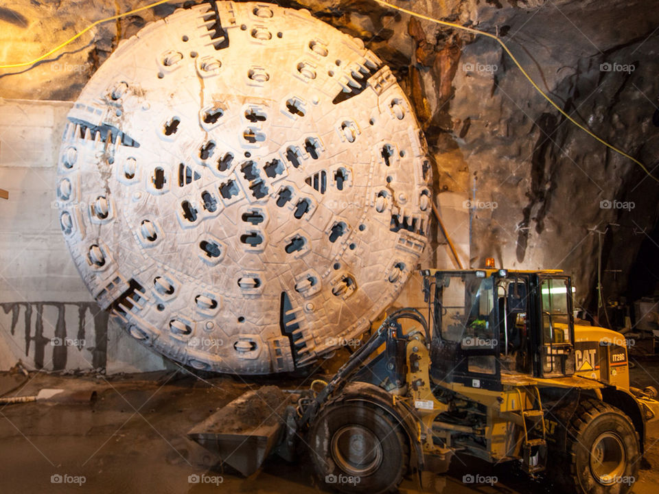 tunnel cat drill båstad by dinopapa