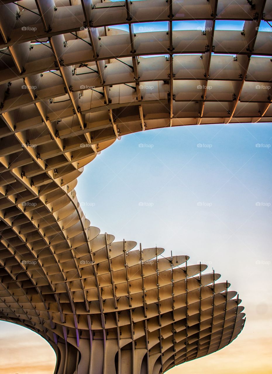 shapes and lines of metrpolitan mushroom sevilla