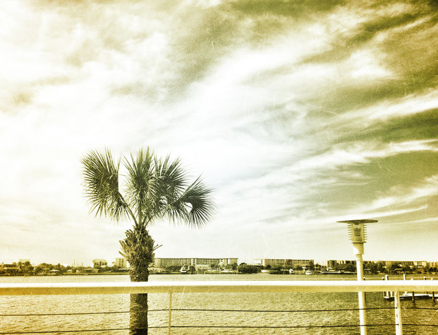  by dustinrogers
