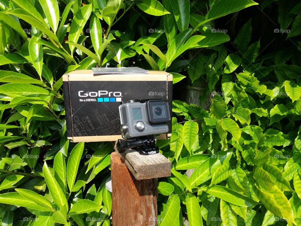 Nothing but a GoPro+ life. Make your money.
