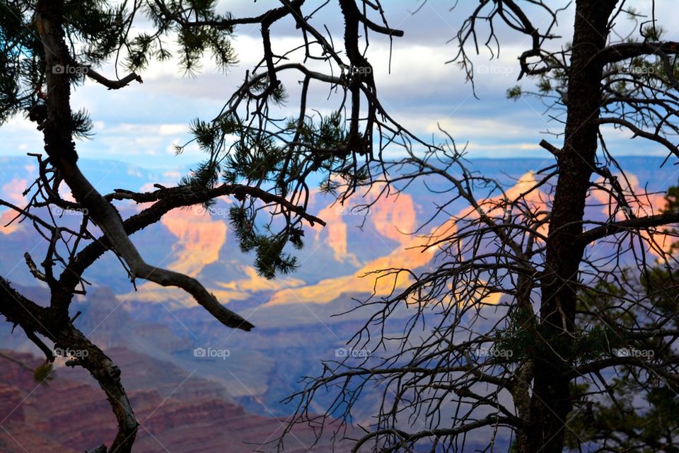 Grand Canyon