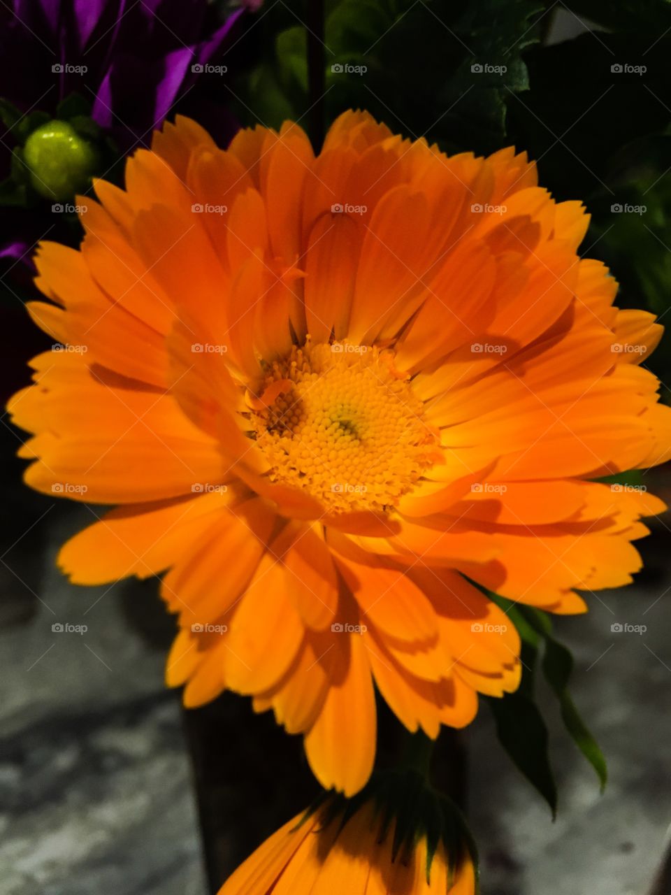 Orange flower